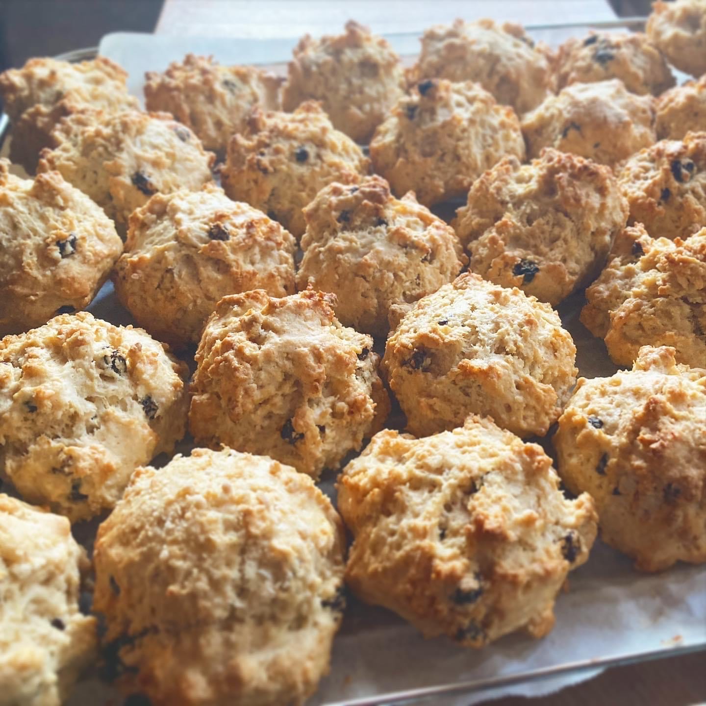 つきとおひさまの写真2